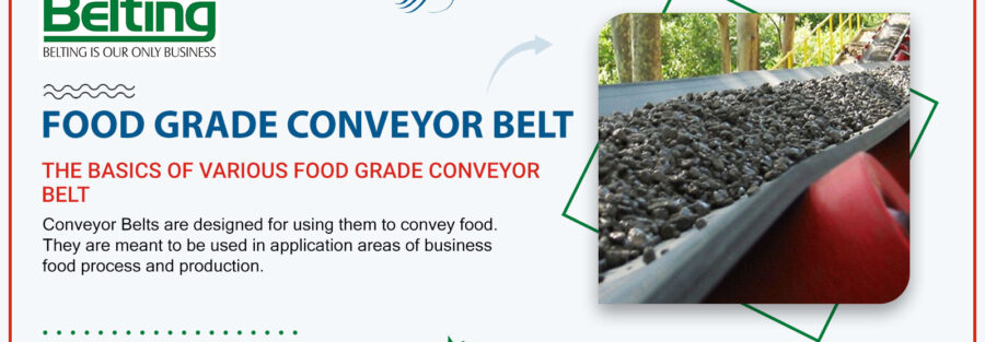 The basics of various food grade conveyor belt, Continental Belting Pvt Ltd