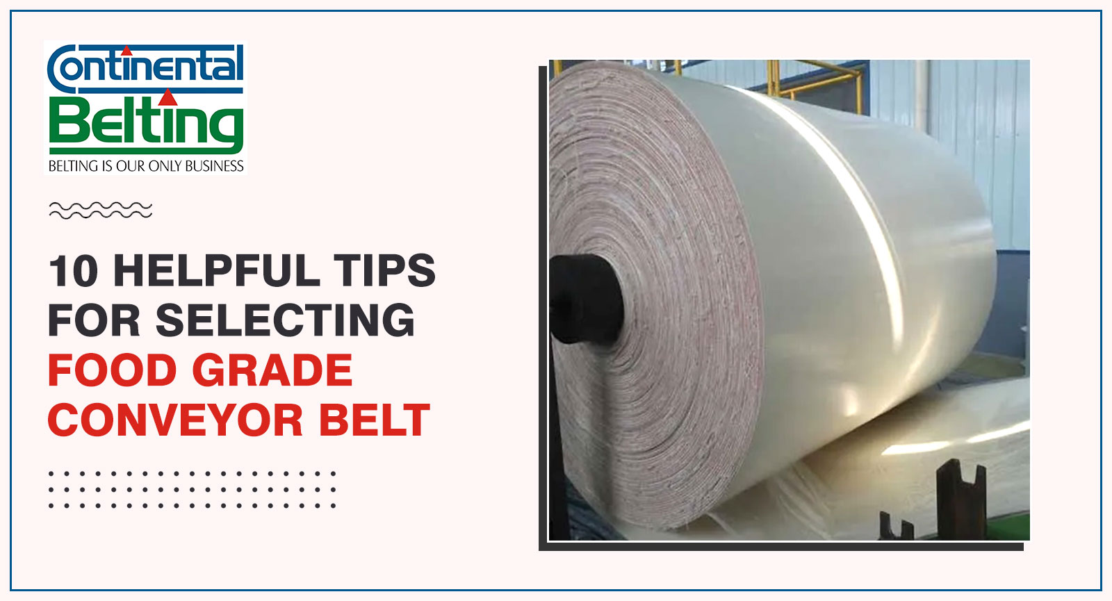 10 Helpful Tips for Selecting Food Grade Conveyor Belt, Continental Belting Pvt Ltd